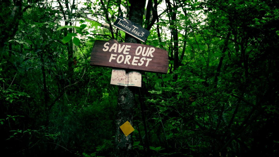 Unleashing the Explorer Within: A Journey into the Great Outdoors